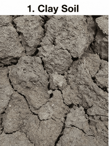 Clay soil