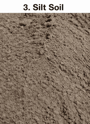 Silty soil 